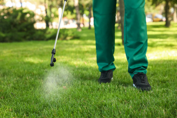 Best Insect Control  in Labelle, FL