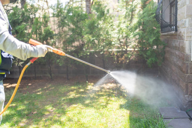 Best Best Pest Control Companies  in Labelle, FL
